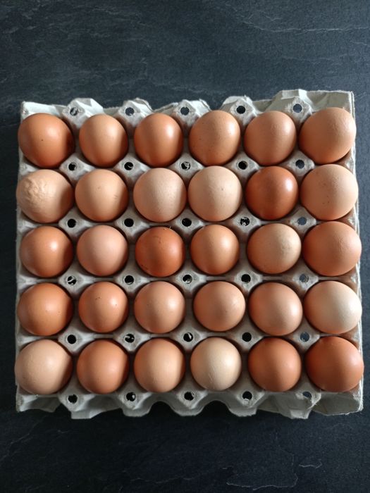 Sprzedam wiejskie jajka