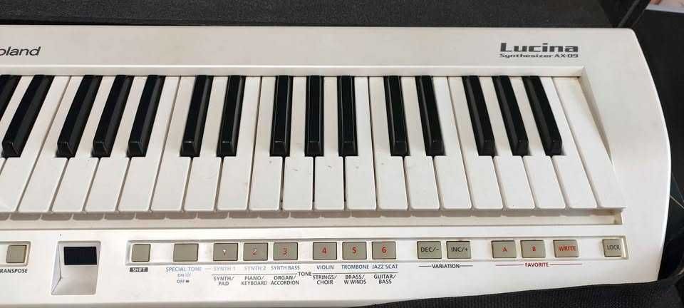 Roland Lucina AX-09 com case