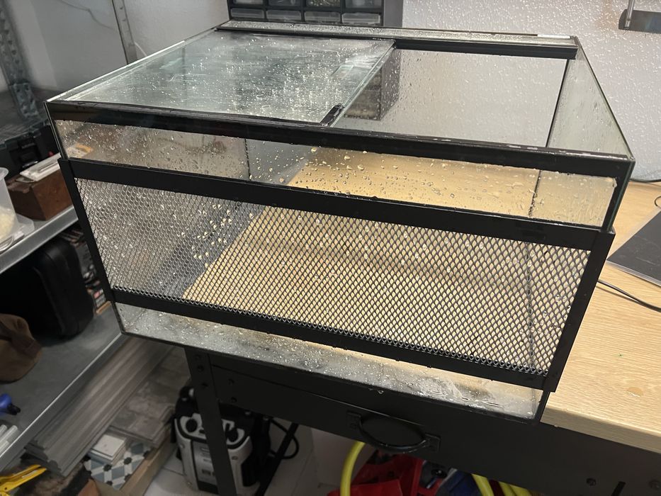 Terrario+ comedouros + grutas