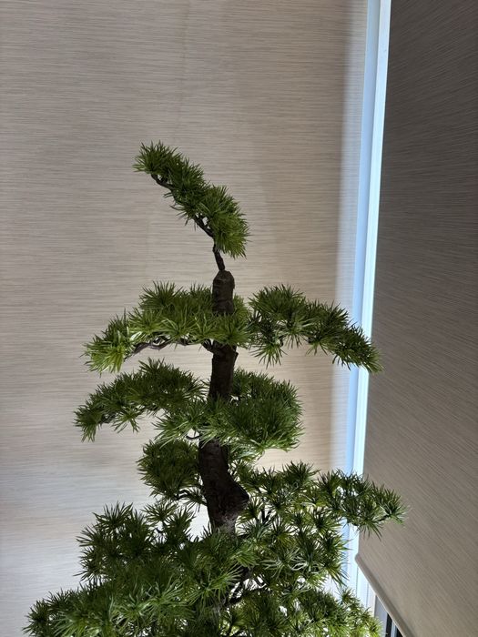 Árvore falsa decoratica
