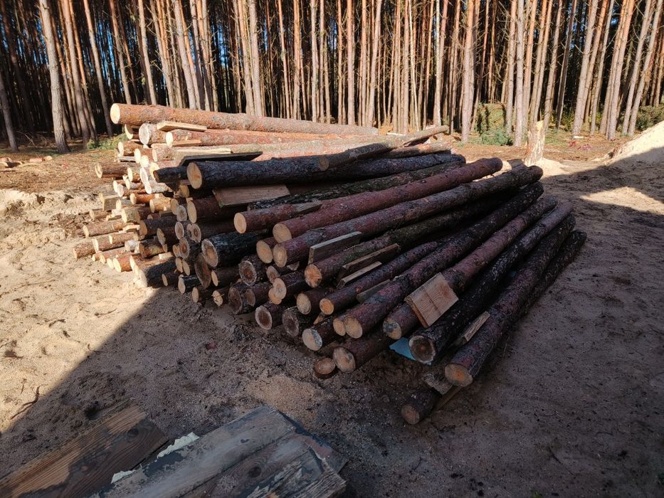 Stemple budowlane - każdy wymiar