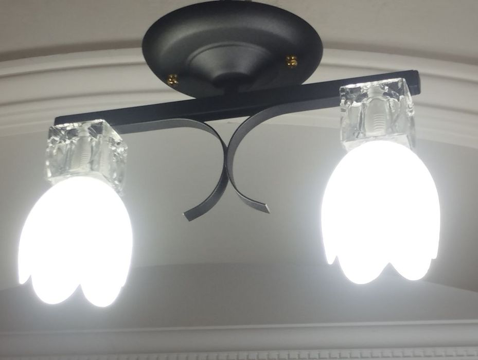 Стельова люстра 2602/2