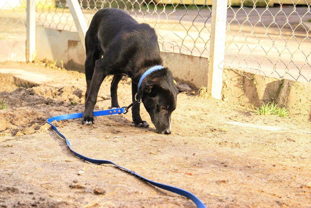 Neptun szuka kochającego domu
