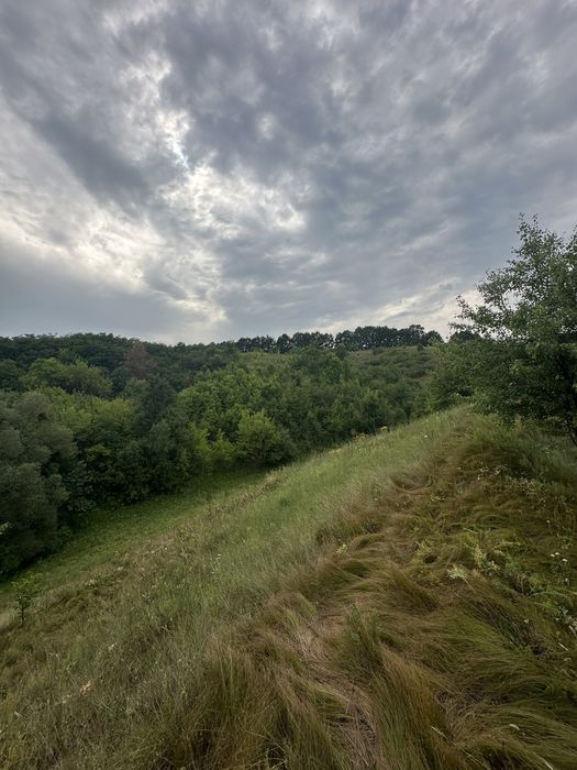 Земельна ділянка Березова 1 ГА