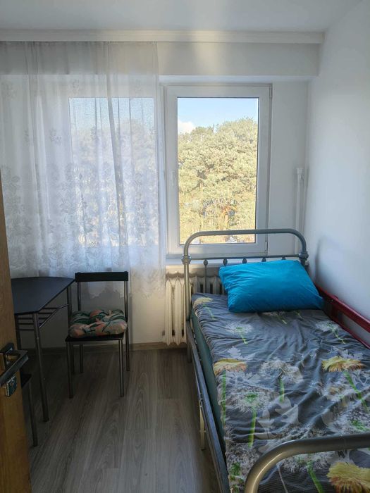 wynajem mieszkan lub pokoi