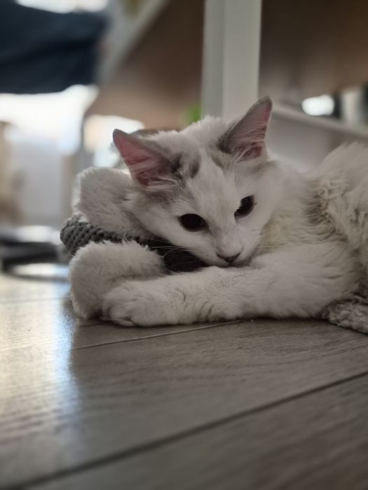 Akrylowa zawieszka brelok roślina anthurium