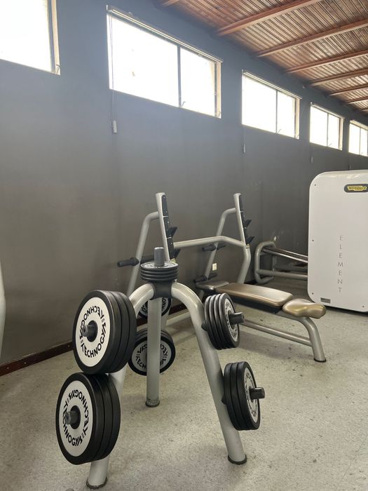 Conjunto de Halteres + discos Tecnhogym