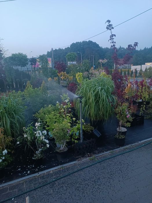 Projektowanie ,zakładanie ogrodów pielęgnacja ogrodu nawadnianie