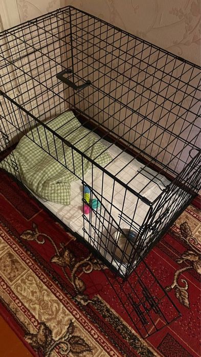 Клітка для тварин ( собак ) розмір 91х60х66
