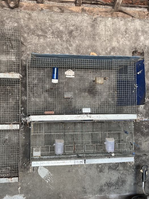 Gaiolas para criacão