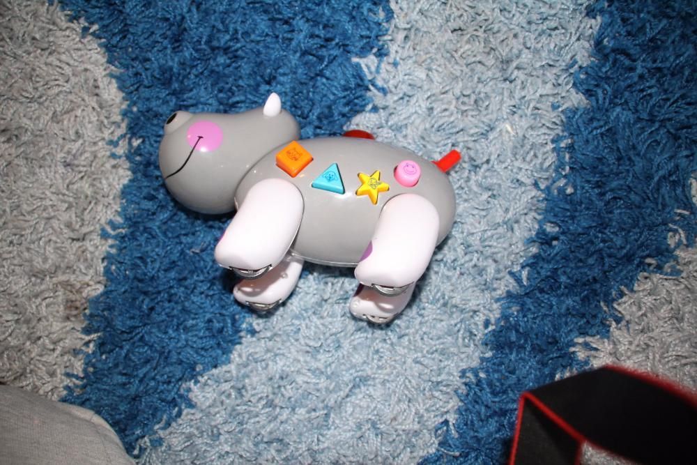 Wesoły hipcio. Grajacy