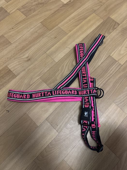 Одяг  на собак  шлеі.