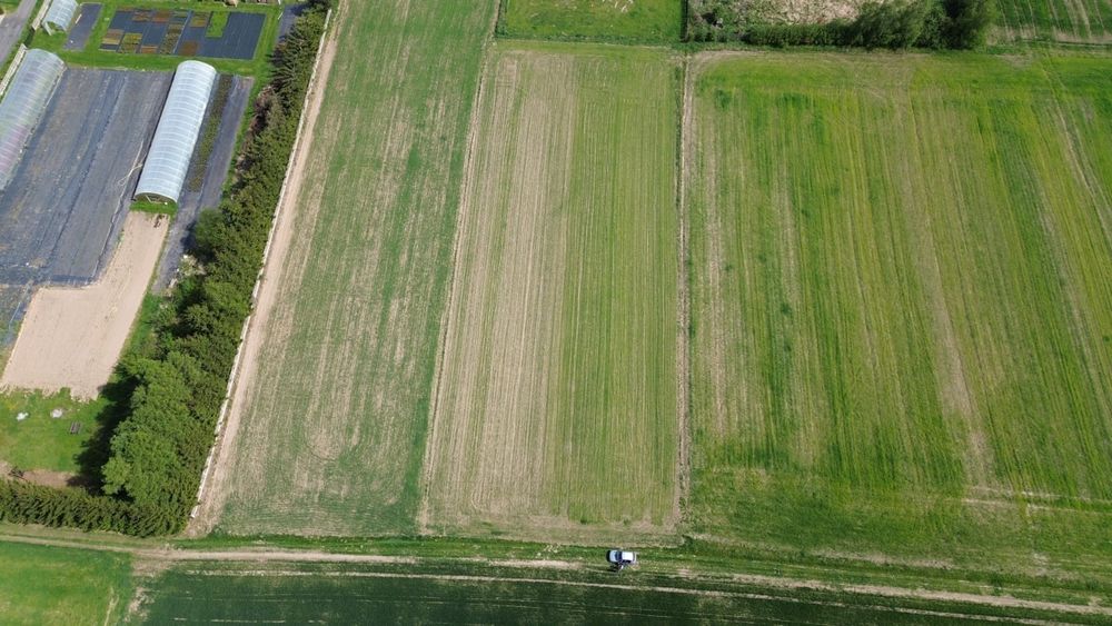 Działka budowlana 51 arów w Płóczkach Dolnych