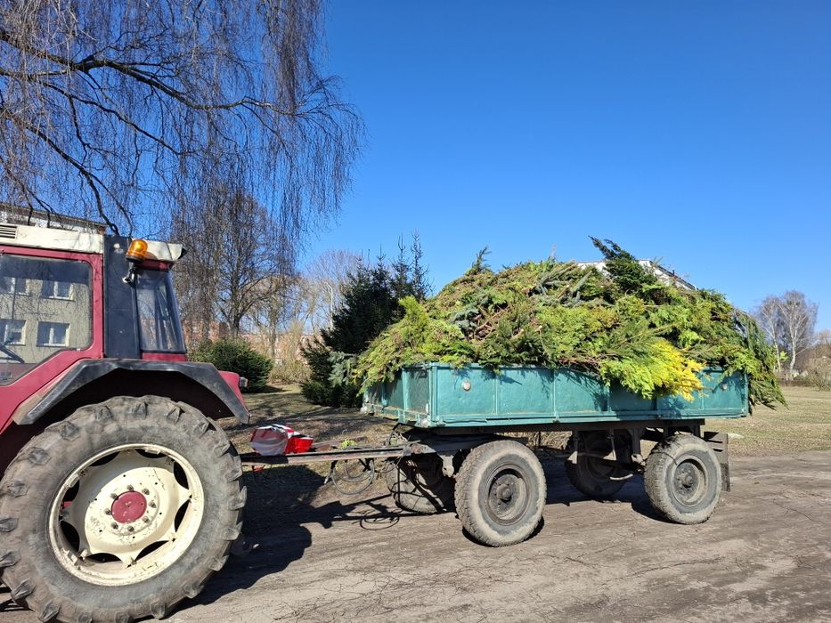Transport, wywrotka, usługi ciągnikiem rolniczym