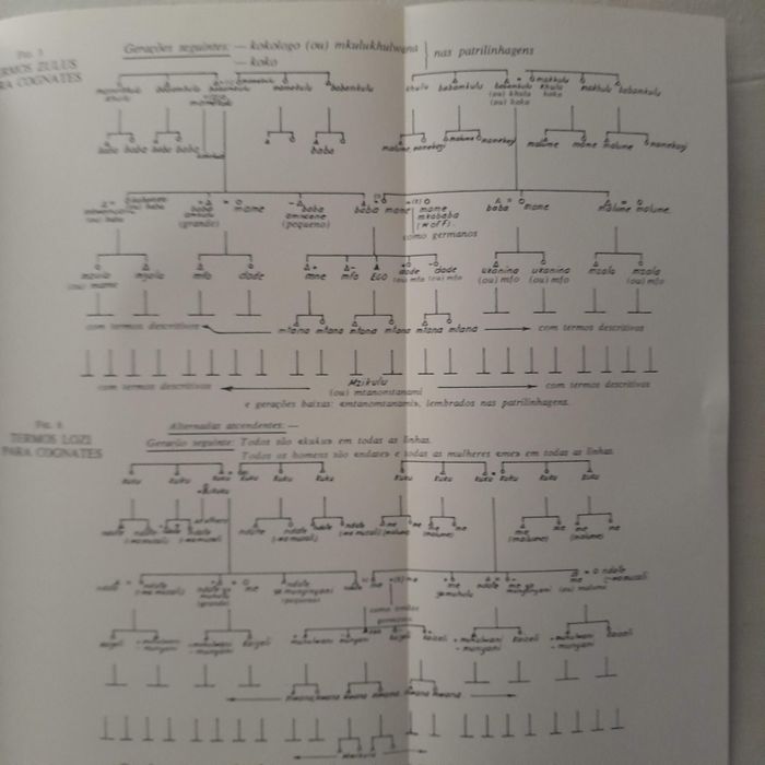 Sistemas Políticos Africanos de Parentesmo e Família.