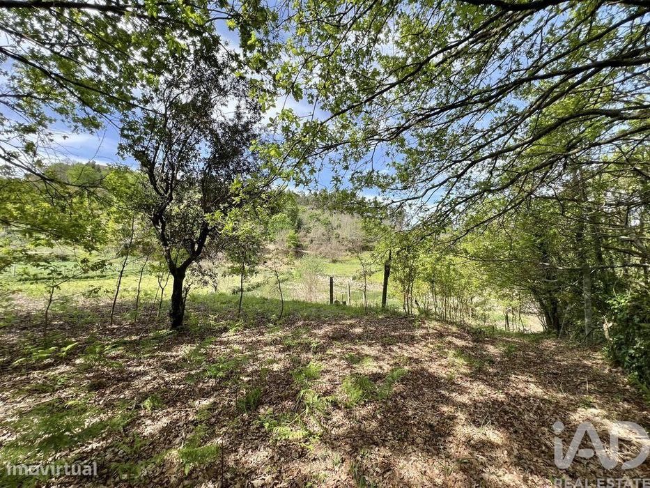 Terreno em Vouzela e Paços de Vilharigues de 26750,00 m2