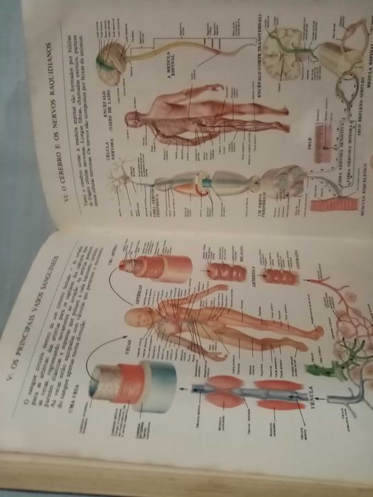 O Grande Livro da Saúde Enciclopédia Médica do Lar