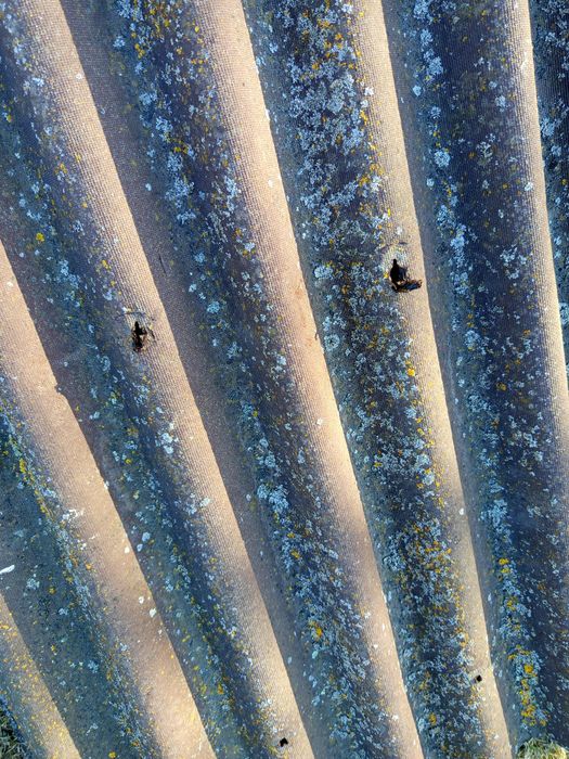 Ondulina, płyta na dach