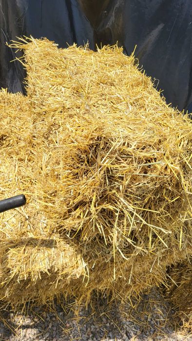 Продам тюки ячної соломи