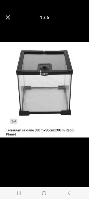 Terarium szlkane