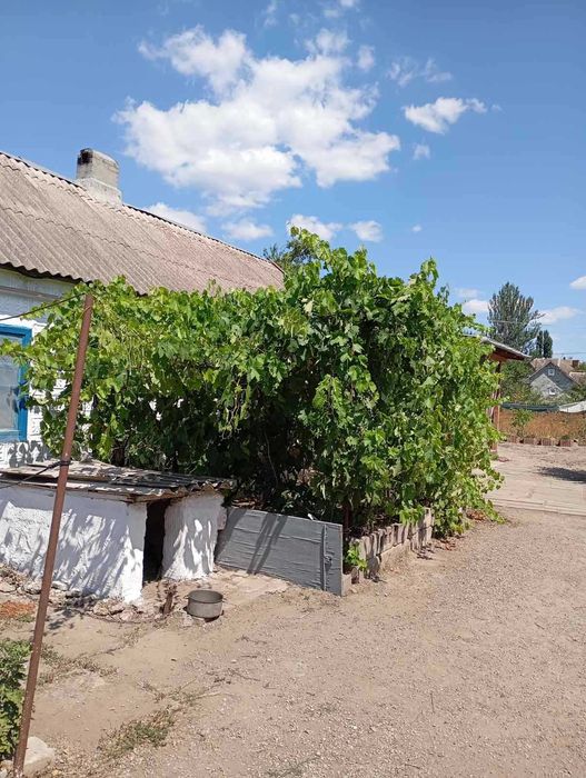 Продаю невеликий будиночок з великою ділянкою