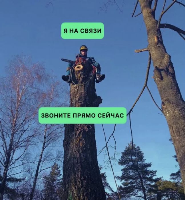 Расчистка участков, Покос травы, Спил деревьев , Уборка участка