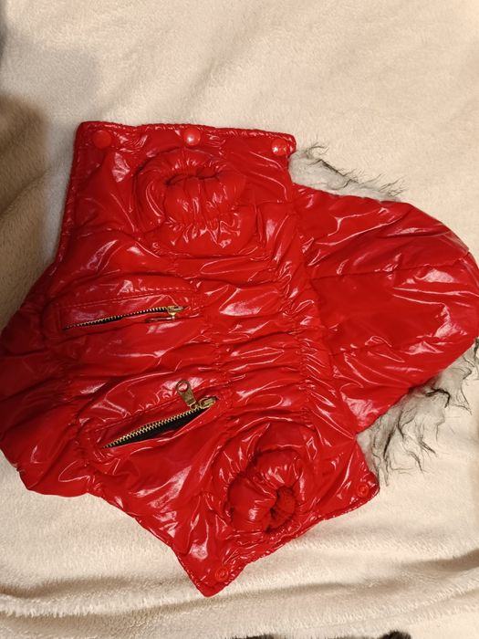 Комбінезон для цуценят котенят розмір хс