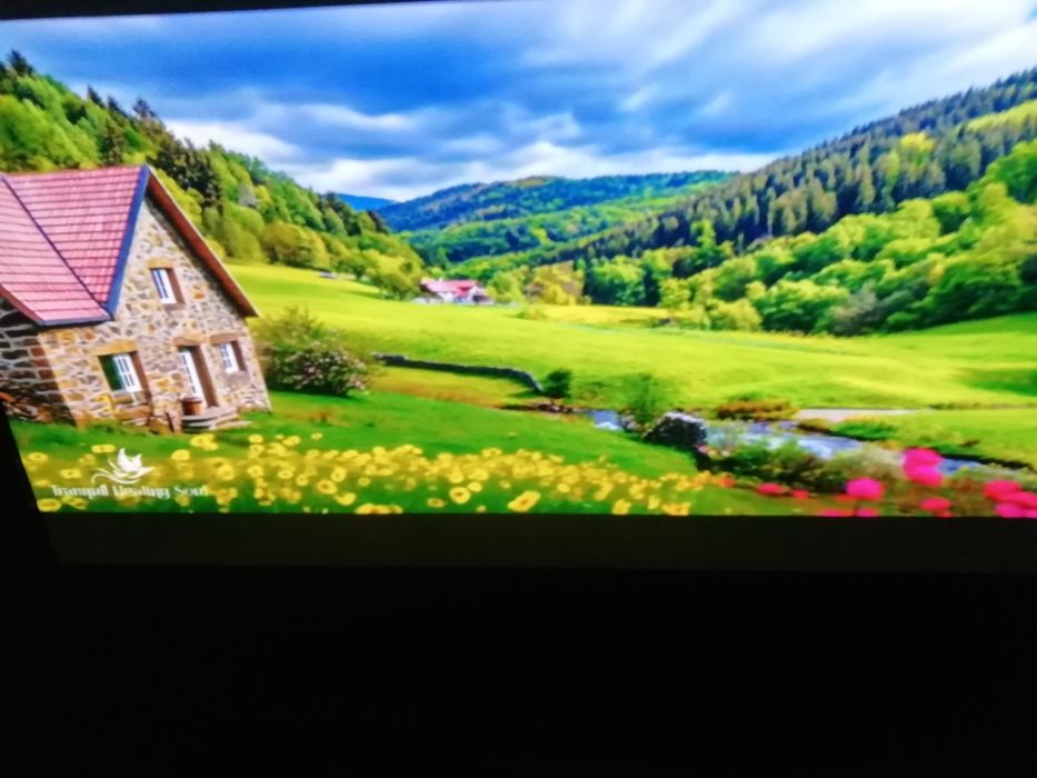 Телевизор Samsung PS50C 450 плазма