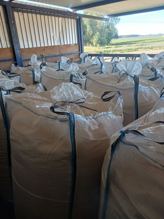 Sprzedam kukurydzę zmielone ziarno ccm