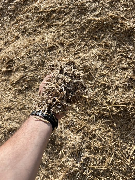 Щепа міскантуса, альтернатива деревній щепі, гранулам