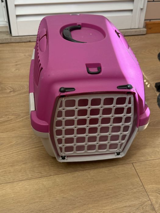 Conjunto completo acessorios para gatos