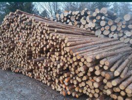 Deski szalunkowe tarcica konstrukcyjna