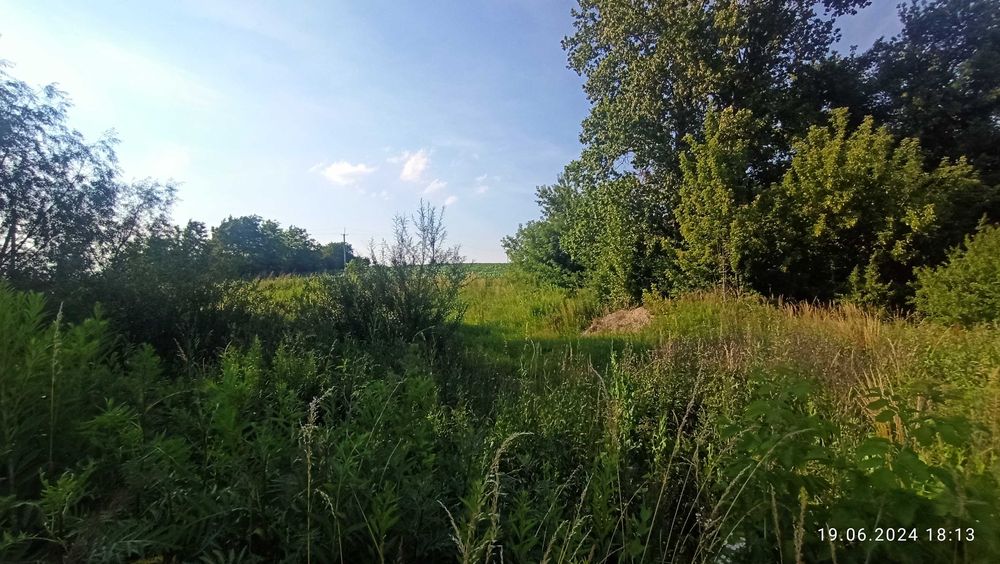 Продаж 9 Га в смт.Куликів
