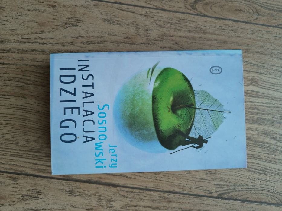 Sosnowski Instalacja Idziego