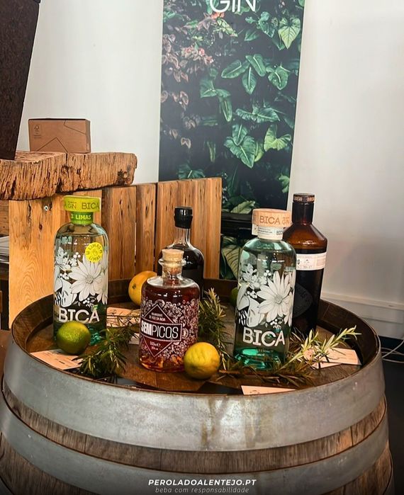Quiosque de Bica Gin Premium + Saxofone Ao Vivo | Eventos
