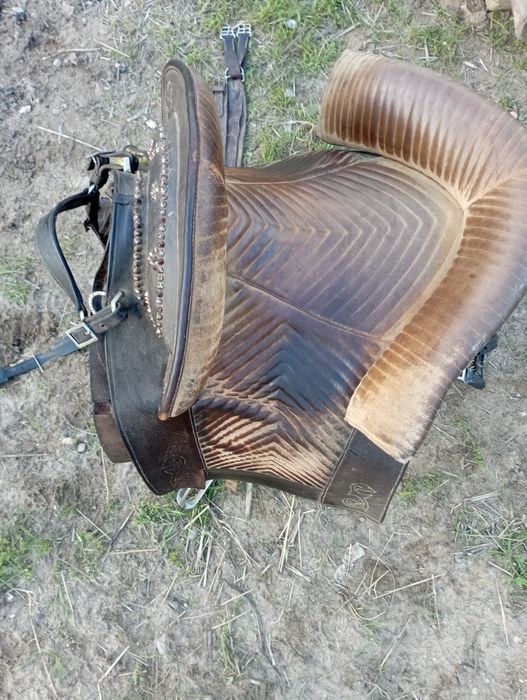 Sela à portuguesa n40, equitação