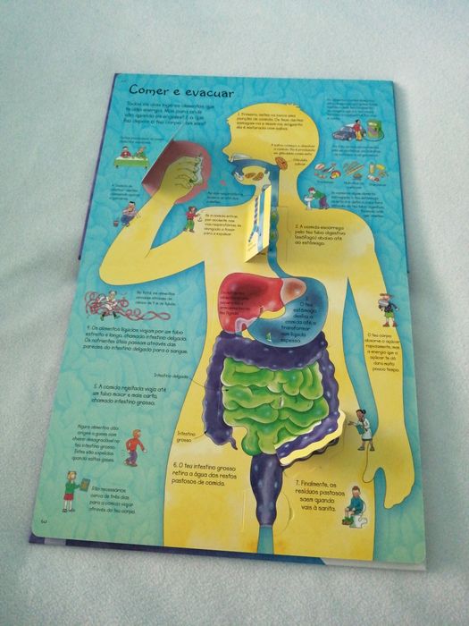 Livro infantil Espreita o teu corpo