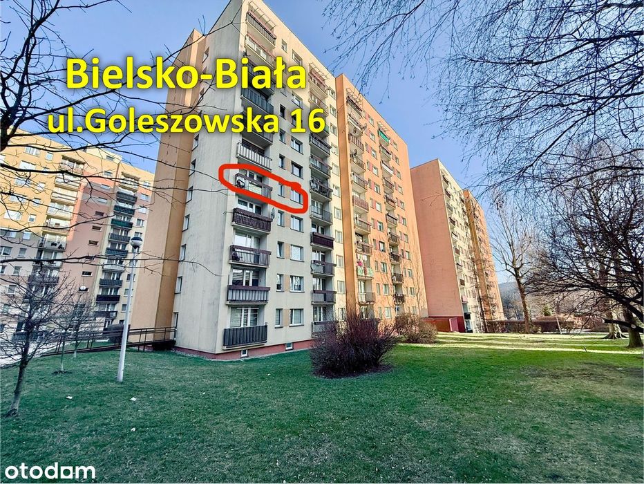 Świetne mieszkanie do remontu, z balkonem, w zadbanym bloku z windą.