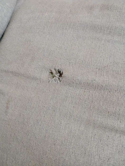 Sofá cama usado para desocupar