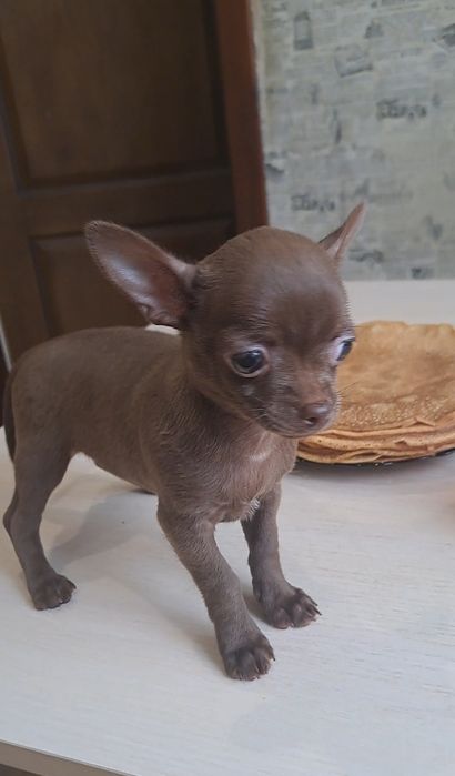 Девчуличка красотуличка