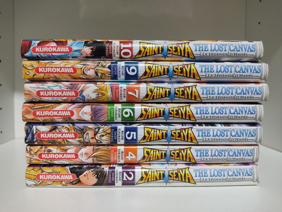 Saint Seiya Lost Canvas em Francês