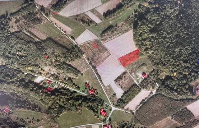 Działki gruntowe niezabudowane- Dylągówka