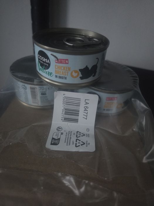 Karmy mokre dla młodego kociaka