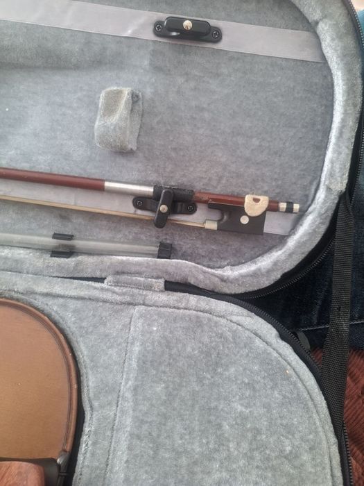 Viola de arco com extras