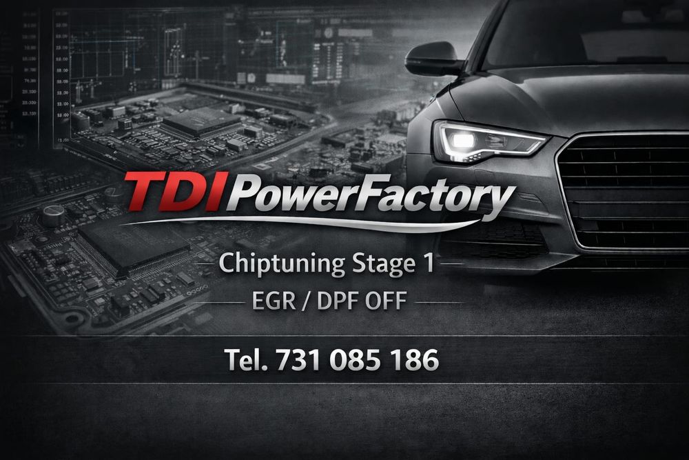 Chiptuning adaptacje kodowanie Egr/Dpf off ukryte funkcje