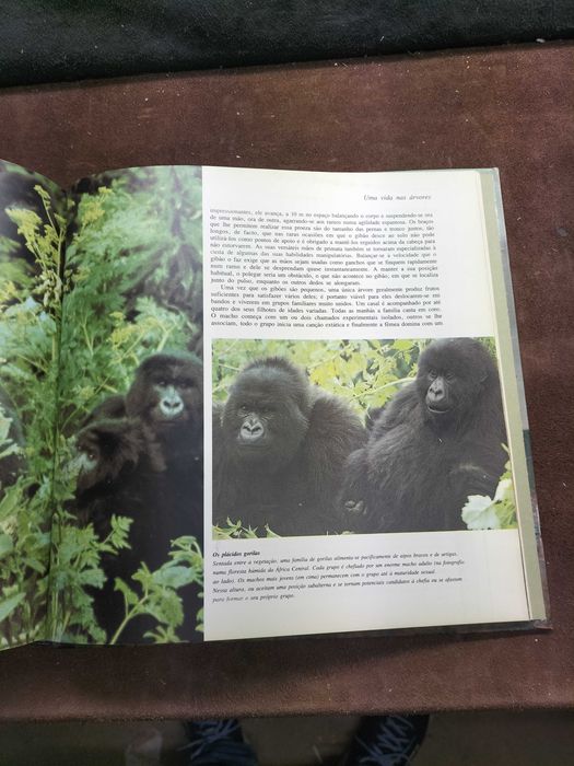 Livro A Vida Na Terra (CXL1)