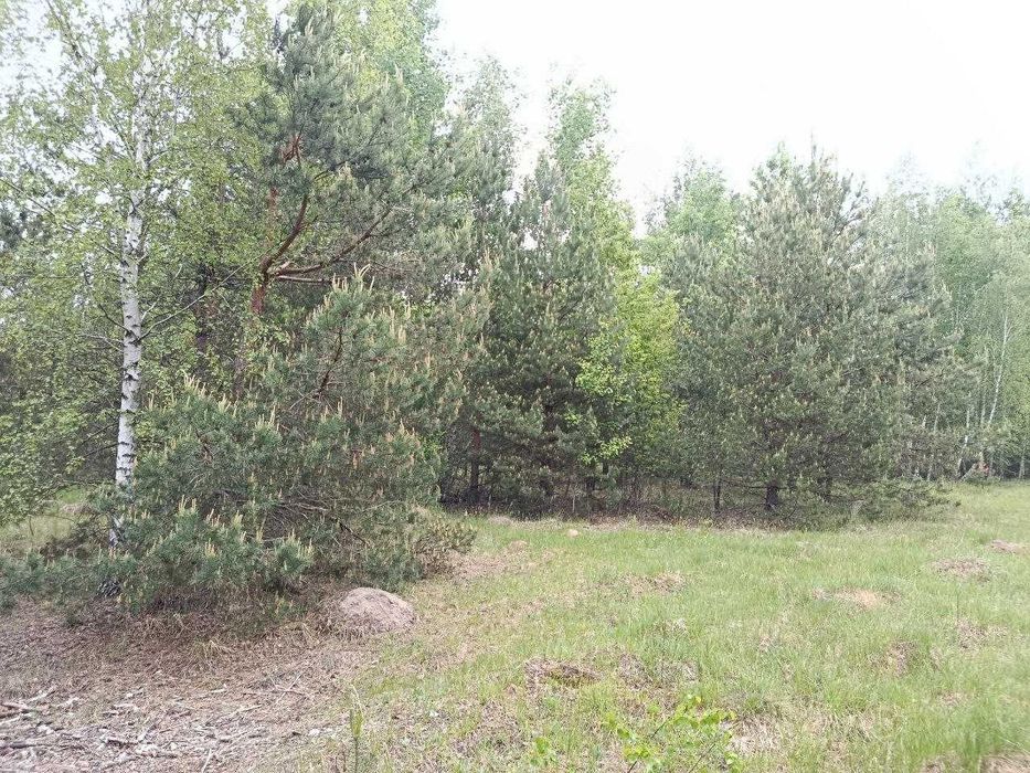 Продам  15-сот під забудову село.Сінгури р-н новобудов