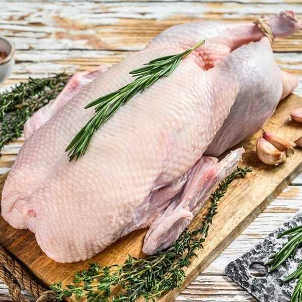 Geś/gęsina z wolnego wybiegu.