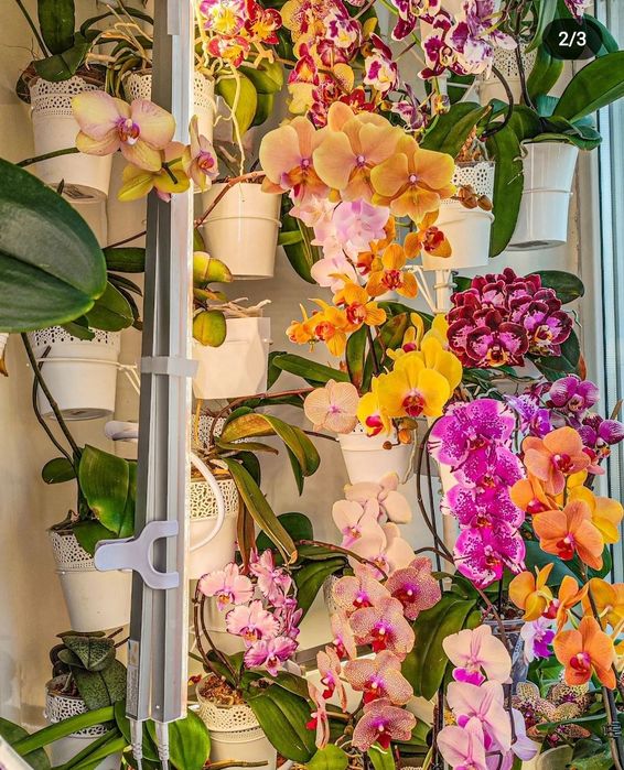 Фитосветильник Samsung LM301H Evo  – 30 ватт