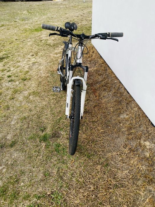 Rower Lazaro Evolution V